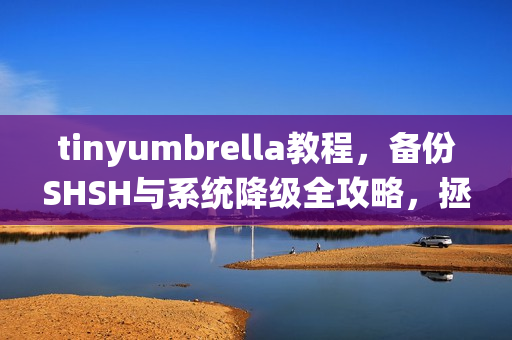 tinyumbrella教程，备份SHSH与系统降级全攻略，拯救你的老设备
