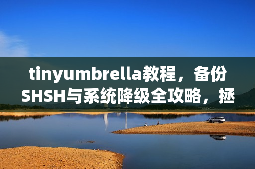 tinyumbrella教程，备份SHSH与系统降级全攻略，拯救你的老设备