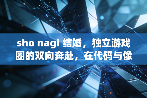 sho nagi 结婚，独立游戏圈的双向奔赴，在代码与像素里织就余生