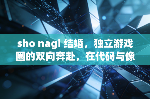 sho nagi 结婚，独立游戏圈的双向奔赴，在代码与像素里织就余生