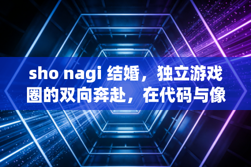 sho nagi 结婚，独立游戏圈的双向奔赴，在代码与像素里织就余生