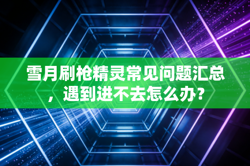 雪月刷枪精灵常见问题汇总，遇到进不去怎么办？