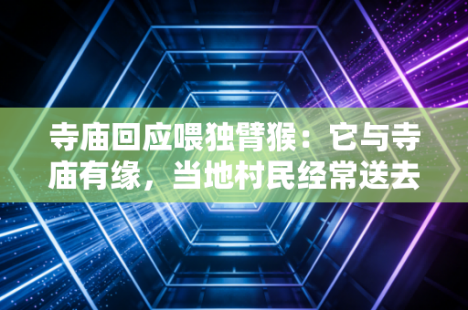 寺庙回应喂独臂猴：它与寺庙有缘，当地村民经常送去水果