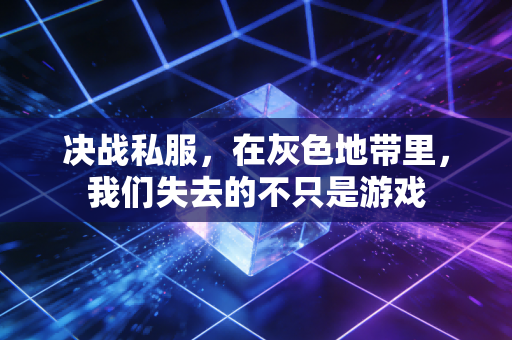 决战私服，在灰色地带里，我们失去的不只是游戏