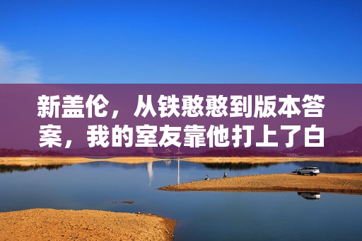 新盖伦，从铁憨憨到版本答案，我的室友靠他打上了白银