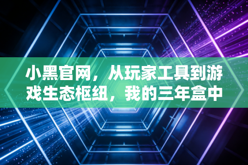 小黑官网，从玩家工具到游戏生态枢纽，我的三年盒中游戏人生