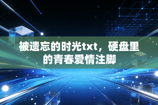 被遗忘的时光txt，硬盘里的青春爱情注脚