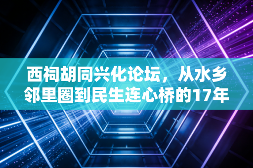西祠胡同兴化论坛，从水乡邻里圈到民生连心桥的17年坚守