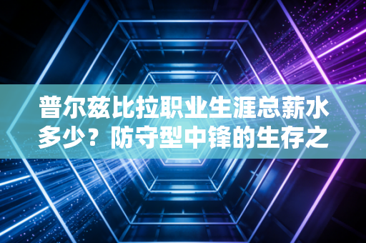 普尔兹比拉职业生涯总薪水多少？防守型中锋的生存之道