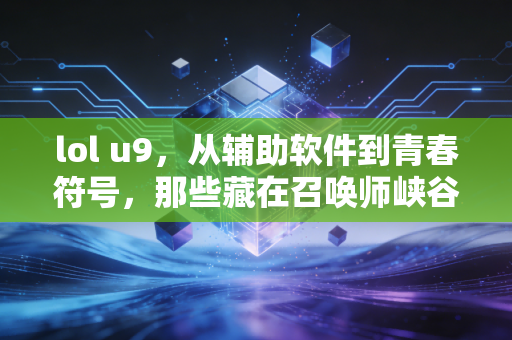 lol u9，从辅助软件到青春符号，那些藏在召唤师峡谷的热血与羁绊