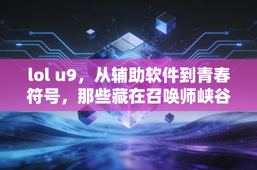 lol u9，从辅助软件到青春符号，那些藏在召唤师峡谷的热血与羁绊