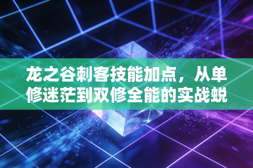 龙之谷刺客技能加点，从单修迷茫到双修全能的实战蜕变