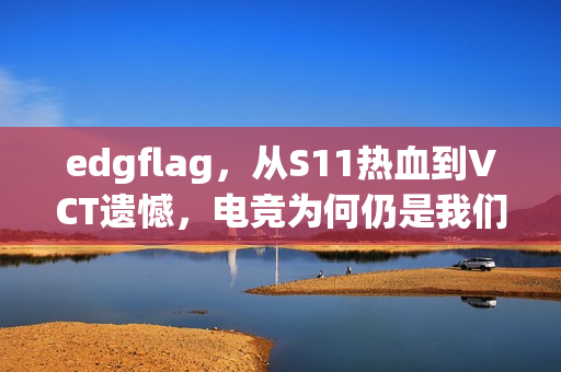 edgflag，从S11热血到VCT遗憾，电竞为何仍是我们的生活底色？