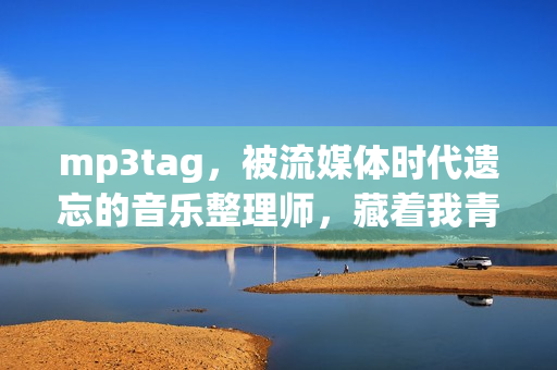 mp3tag，被流媒体时代遗忘的音乐整理师，藏着我青春里的数字秩序