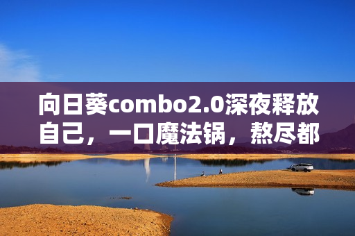 向日葵combo2.0深夜释放自己，一口魔法锅，熬尽都市深夜的焦虑