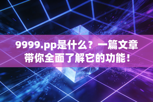 9999.pp是什么？一篇文章带你全面了解它的功能！