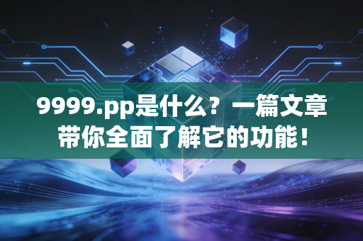 9999.pp是什么？一篇文章带你全面了解它的功能！
