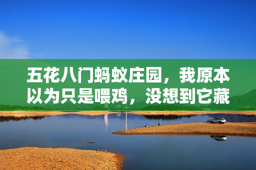五花八门蚂蚁庄园，我原本以为只是喂鸡，没想到它藏了半辈子的生活碎片