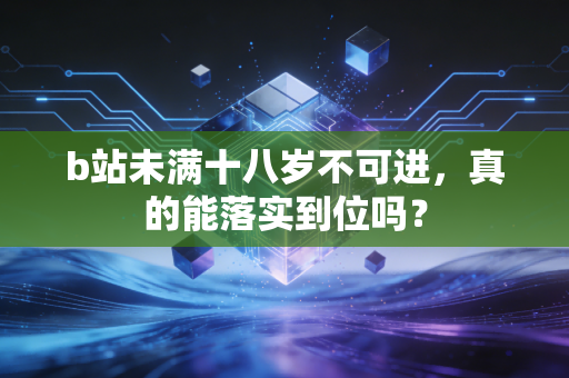 b站未满十八岁不可进，真的能落实到位吗？
