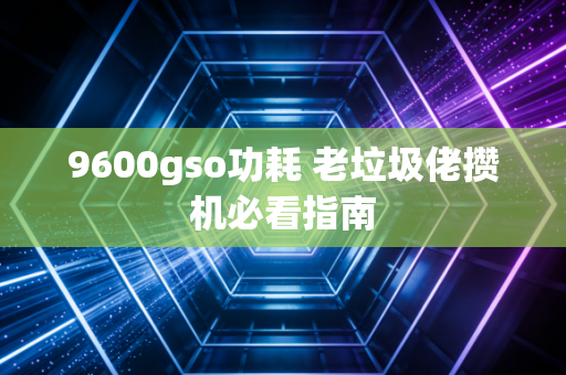9600gso功耗 老垃圾佬攒机必看指南