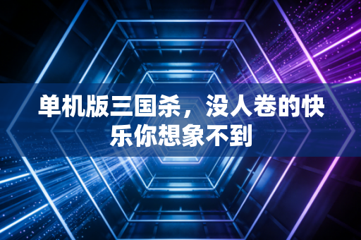 单机版三国杀，没人卷的快乐你想象不到