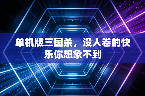 单机版三国杀，没人卷的快乐你想象不到