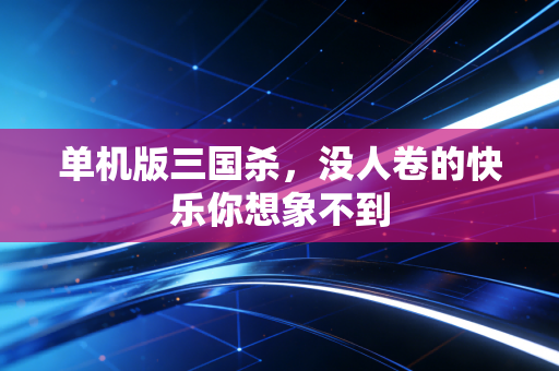 单机版三国杀，没人卷的快乐你想象不到