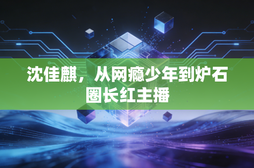 沈佳麒，从网瘾少年到炉石圈长红主播
