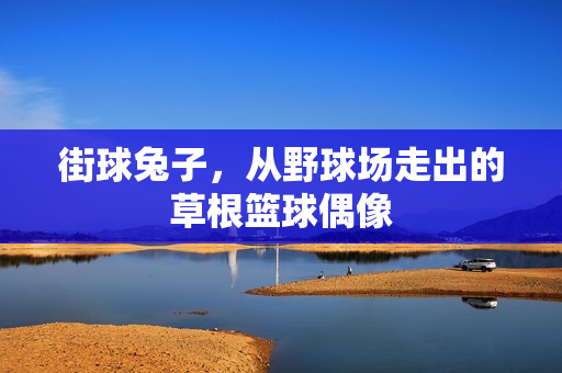街球兔子，从野球场走出的草根篮球偶像