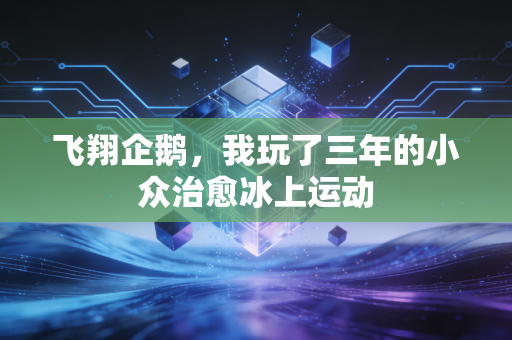 飞翔企鹅，我玩了三年的小众治愈冰上运动