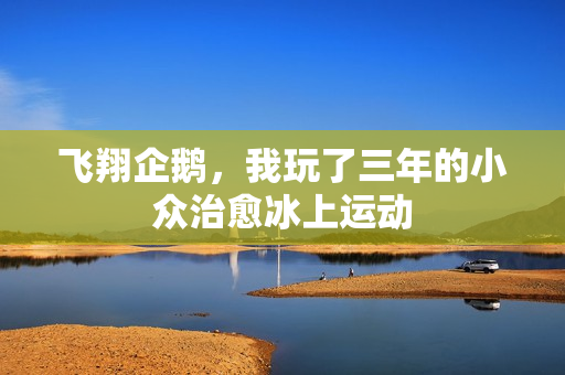 飞翔企鹅，我玩了三年的小众治愈冰上运动