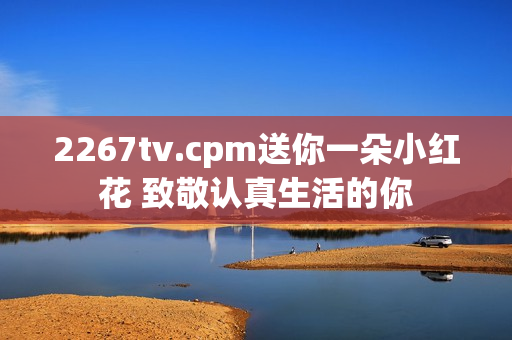 2267tv.cpm送你一朵小红花 致敬认真生活的你