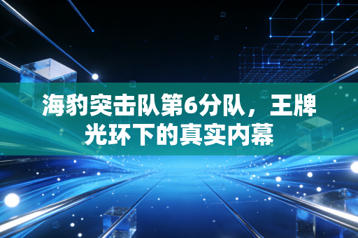 海豹突击队第6分队，王牌光环下的真实内幕