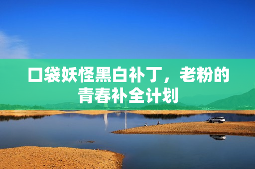 口袋妖怪黑白补丁,老粉的青春补全计划