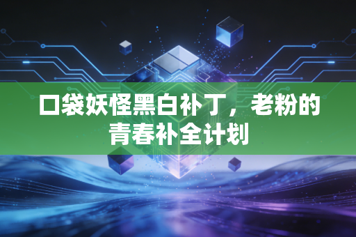 口袋妖怪黑白补丁，老粉的青春补全计划