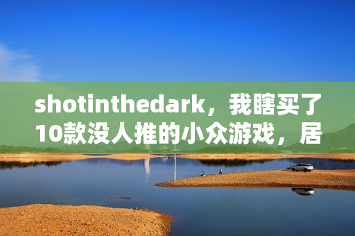 shotinthedark，我瞎买了10款没人推的小众游戏，居然挖到了今年最大的惊喜