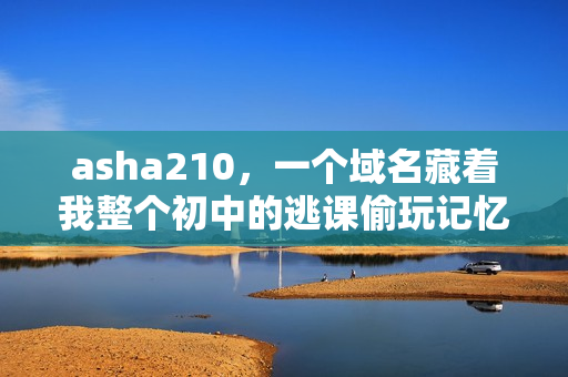 asha210，一个域名藏着我整个初中的逃课偷玩记忆