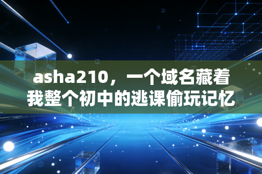 asha210，一个域名藏着我整个初中的逃课偷玩记忆