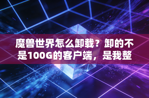 魔兽世界怎么卸载？卸的不是100G的客户端，是我整个没说出口的青春啊