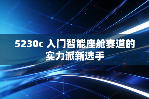 5230c 入门智能座舱赛道的实力派新选手