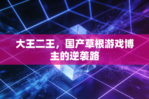 大王二王，国产草根游戏博主的逆袭路