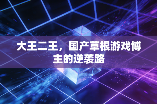 大王二王，国产草根游戏博主的逆袭路