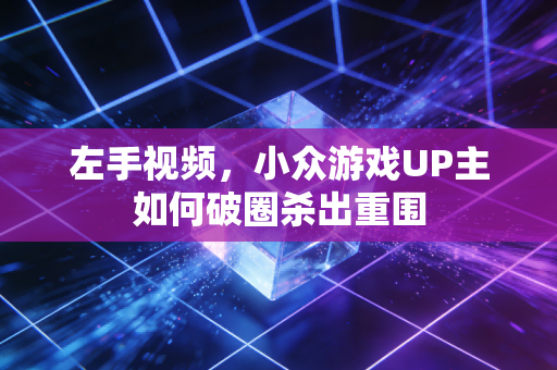左手视频，小众游戏UP主如何破圈杀出重围