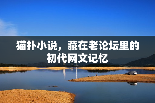 猫扑小说，藏在老论坛里的初代网文记忆