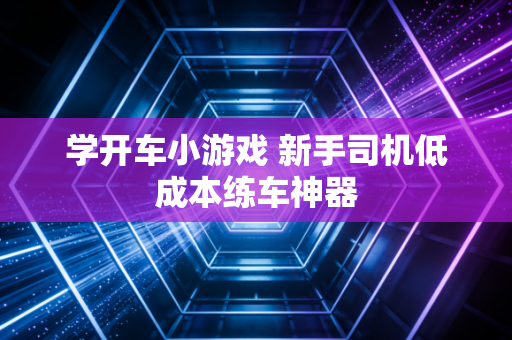 学开车小游戏 新手司机低成本练车神器
