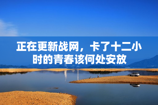 正在更新战网，卡了十二小时的青春该何处安放