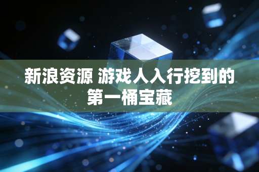 新浪资源 游戏人入行挖到的第一桶宝藏