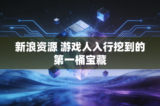 新浪资源 游戏人入行挖到的第一桶宝藏