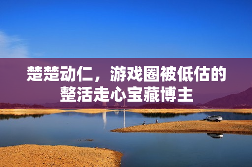 楚楚动仁，游戏圈被低估的整活走心宝藏博主