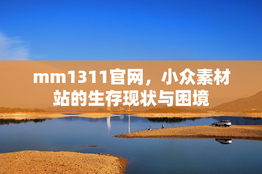 mm1311官网，小众素材站的生存现状与困境